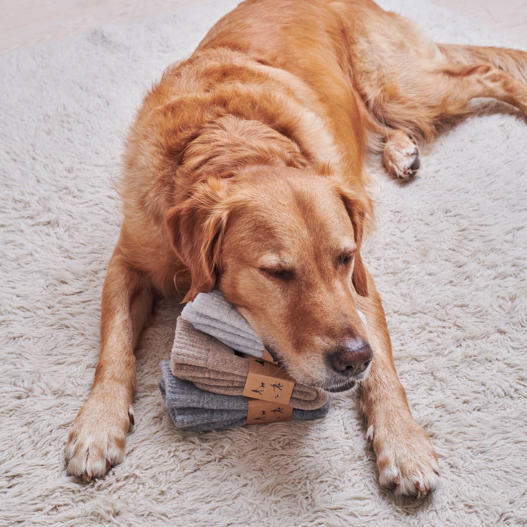 Dog Walking Socks - Yellow Labrador