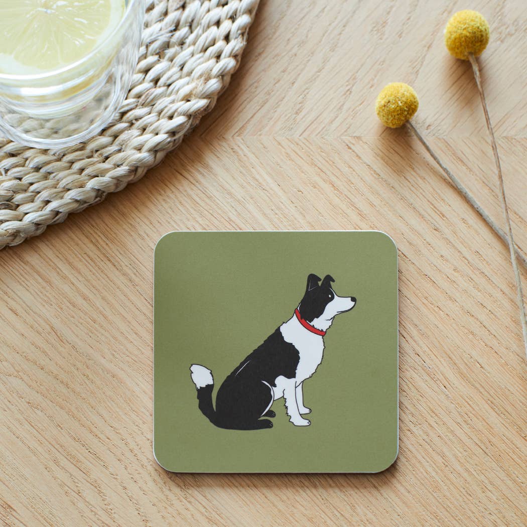 Coaster - Border Collie
