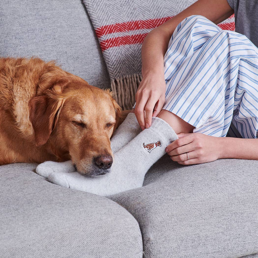 Person wearing an embroidered woollen sock with a dog design, sitting on a couch next to a labrador.