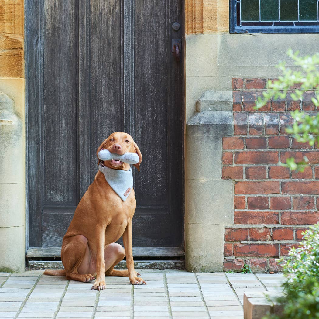 Bandana - Grey Tweed