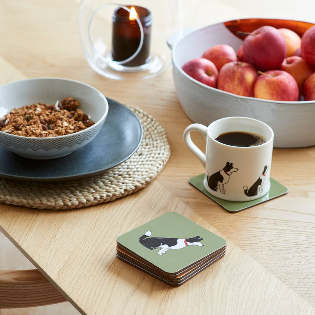 Coaster - Border Collie