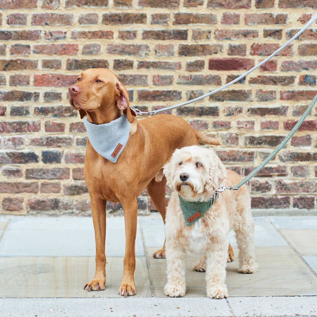 Bandana - Grey Tweed