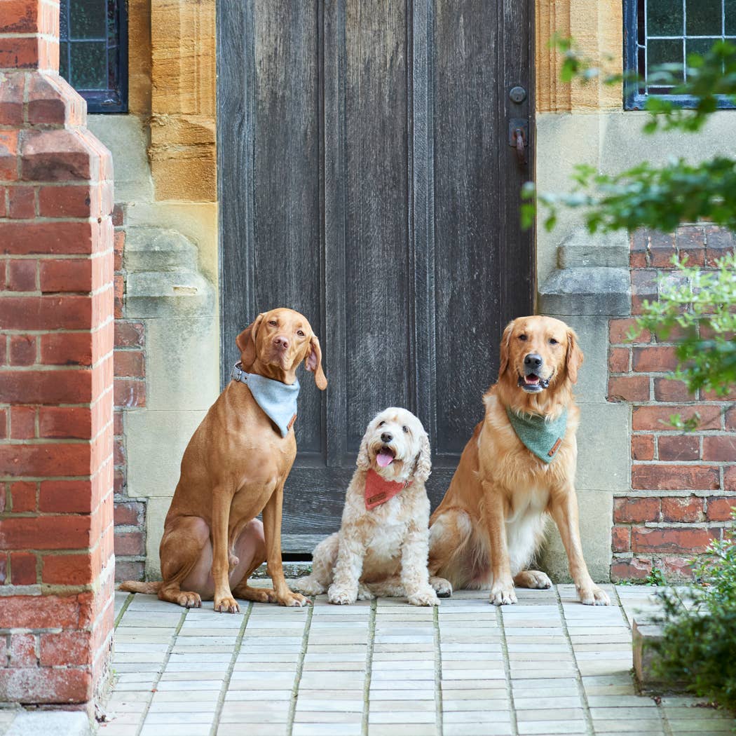 Bandana - Grey Tweed